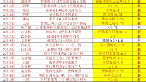 球迷反抗：拒绝外国资本干预德甲足球